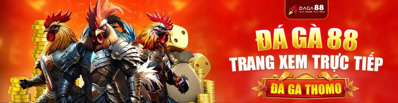 Đá Gà bwin Trực Tuyến